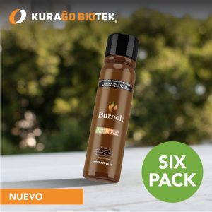 BURNOK Bebida Concentrada de Café Six-Pack