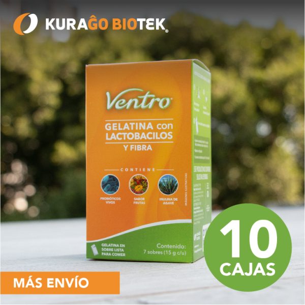 Paquete Básico Ventro C/10 CAJAS