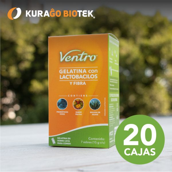 Paquete Master Ventro C/20 CAJAS